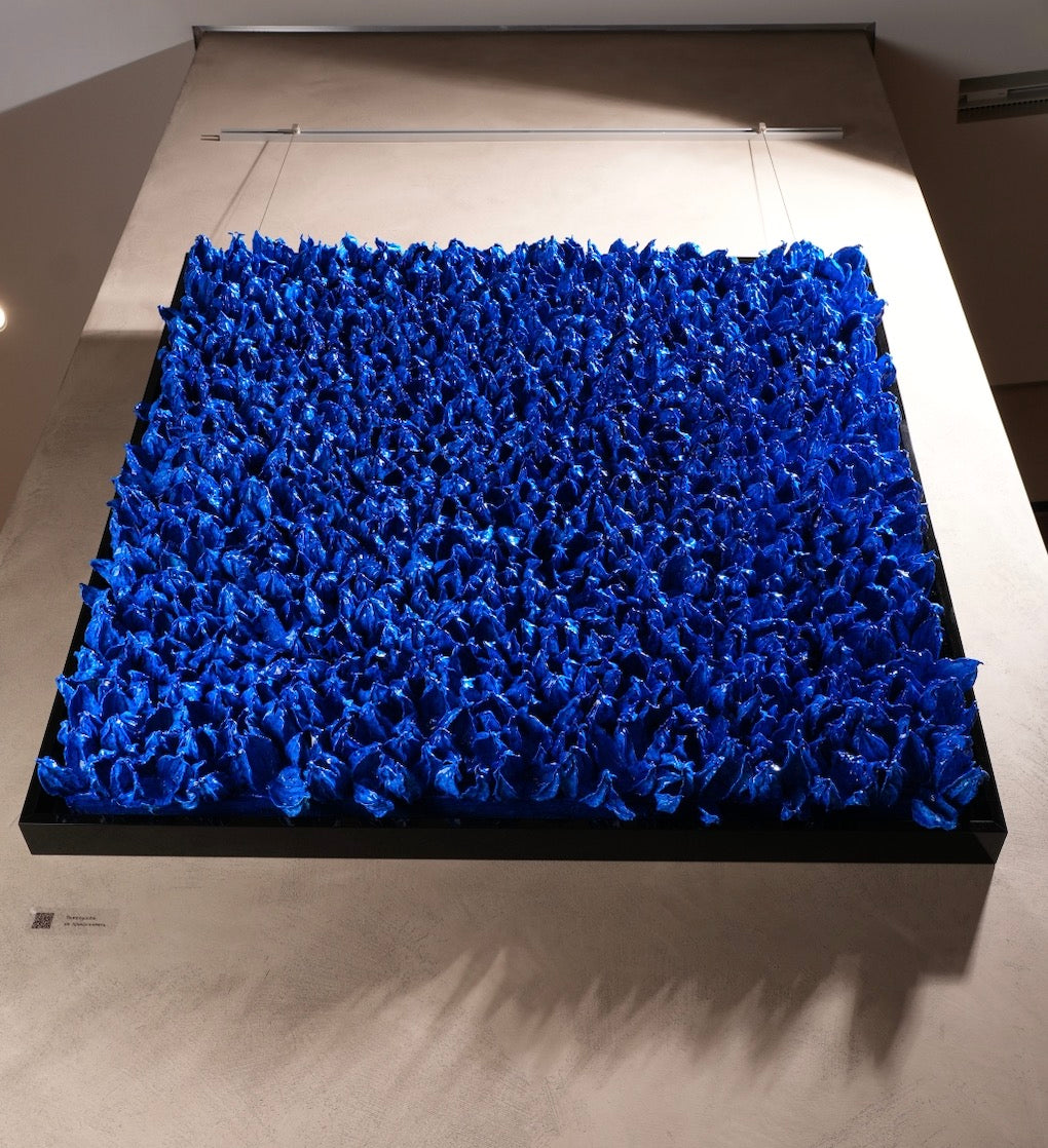 Blue Blossom